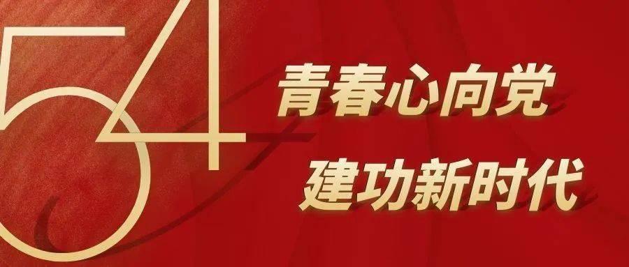 拯救精灵的土地8